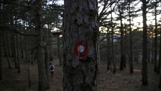 16.03.2014., Juzni Velebit – Topljenje snijega na Juznom Velebitu i procvjetani prvi planinski cvjetovi u ranom proljecu najavljuju skorasnje toplije vrijeme. Photo: Filip Brala/PIXSELL Autor Filip Brala/PIXSELL Ključne riječi rekreacija, planina, pro 16.03.2014., Juzni Velebit – Topljenje snijega na Juznom Velebitu i procvjetani prvi planinski cvjetovi u ranom proljecu najavljuju skorasnje toplije vrijeme. Photo: Filip Brala/PIXSELL Autor Filip Brala/PIXSELL Ključne riječi rekreacija, planina, pro