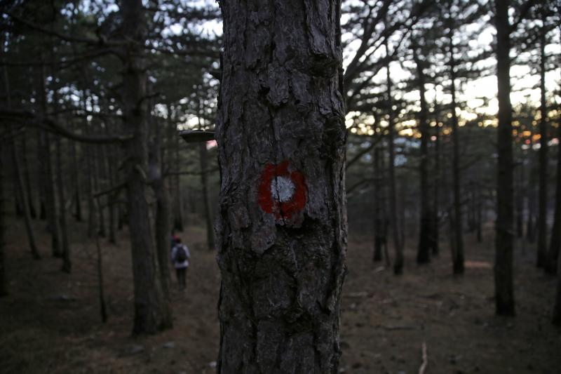 16.03.2014., Juzni Velebit – Topljenje snijega na Juznom Velebitu i procvjetani prvi planinski cvjetovi u ranom proljecu najavljuju skorasnje toplije vrijeme. Photo: Filip Brala/PIXSELL Autor Filip Brala/PIXSELL Ključne riječi rekreacija, planina, pro 16.03.2014., Juzni Velebit – Topljenje snijega na Juznom Velebitu i procvjetani prvi planinski cvjetovi u ranom proljecu najavljuju skorasnje toplije vrijeme. Photo: Filip Brala/PIXSELL Autor Filip Brala/PIXSELL Ključne riječi rekreacija, planina, pro