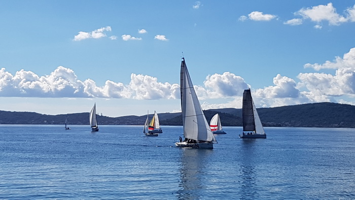 Zadarska Koka 2016. 22. listopada 2016. Foto: Mladen Malik Zadarska Koka 2016. 22. listopada 2016. Foto: Mladen Malik