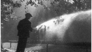 Image 1192779 (auto)