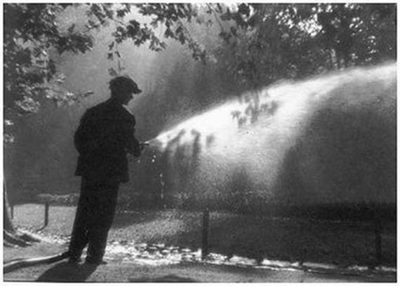 Image 1192779 (auto)