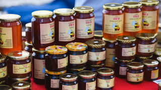 Agro sajam u sklopu projekta PESCAR na zadarskom Forumu