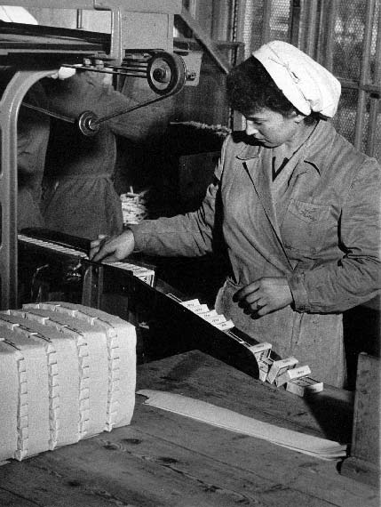 Braća Brkan: Slike sna i svjetlosti Braća Brkan: Slike sna i svjetlosti