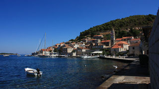 Image 1117657 (auto)