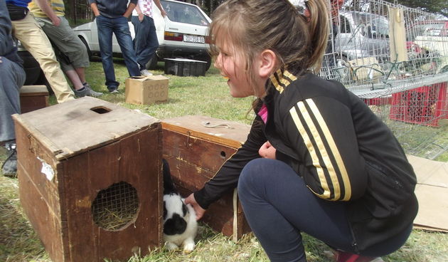 Benkovački sajam, 10. svibnja 2015.