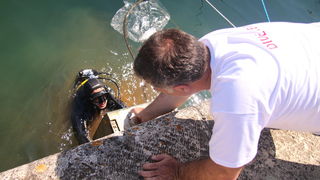 Ekološka akcija “Daj ruku za Jazine” Ekološka akcija “Daj ruku za Jazine”