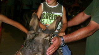 Sukosan: 40. Memorijal kenje Viole i svicarenje, 9. kolovoza 2009, Foto: Mirta Krupic