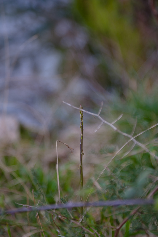 Ugodno prijepodne uz tok rijeke Karešnice i stare zapuštene mlinove, foto: Darko Belančić