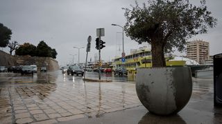 Maslina u velikoj i teškoj tegli preko noći “prošetala” do gradskog mosta Maslina u velikoj i teškoj tegli preko noći “prošetala” do gradskog mosta