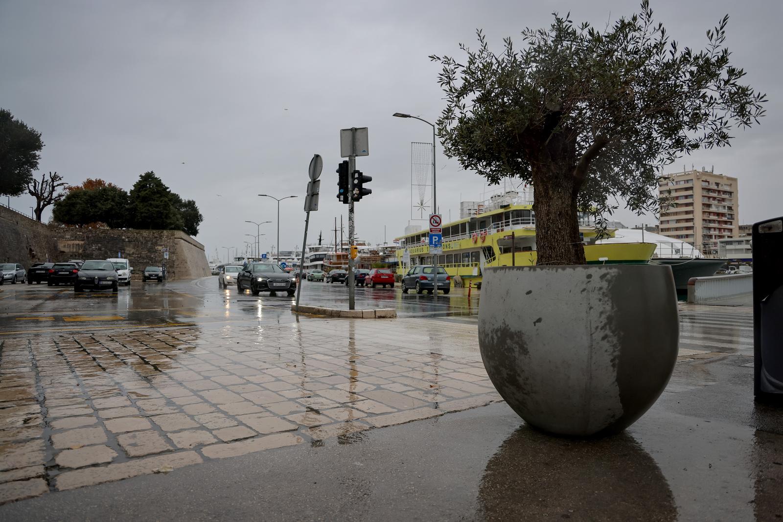Maslina u velikoj i teškoj tegli preko noći “prošetala” do gradskog mosta Maslina u velikoj i teškoj tegli preko noći “prošetala” do gradskog mosta