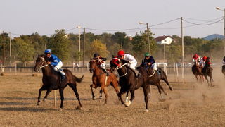 Polaca, utrke konja Oluja 95 Polaca, utrke konja Oluja 95