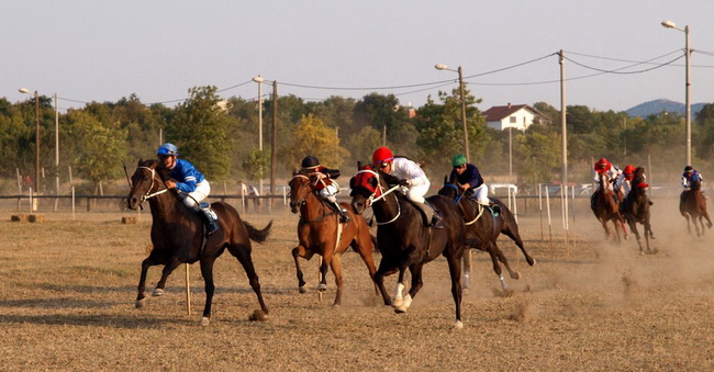 Polaca, utrke konja Oluja 95 Polaca, utrke konja Oluja 95