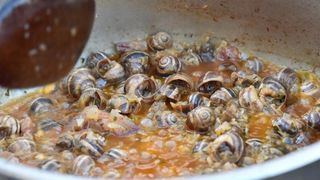 U sklopu Benkovackog kulturnog ljeta Grad Benkovac i Turisticka zajednica Grada Benkovca vec cetvrtu godinu za redom organiziraju manifestaciju Puzevim korakom. Radi se o gastro manifestaciji pripreme i degustacije puzeva. Posjetitelji su imali prilike d U sklopu Benkovackog kulturnog ljeta Grad Benkovac i Turisticka zajednica Grada Benkovca vec cetvrtu godinu za redom organiziraju manifestaciju Puzevim korakom. Radi se o gastro manifestaciji pripreme i degustacije puzeva. Posjetitelji su imali prilike d