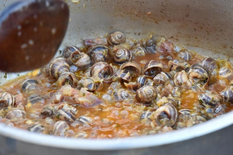 U sklopu Benkovackog kulturnog ljeta Grad Benkovac i Turisticka zajednica Grada Benkovca vec cetvrtu godinu za redom organiziraju manifestaciju Puzevim korakom. Radi se o gastro manifestaciji pripreme i degustacije puzeva. Posjetitelji su imali prilike d U sklopu Benkovackog kulturnog ljeta Grad Benkovac i Turisticka zajednica Grada Benkovca vec cetvrtu godinu za redom organiziraju manifestaciju Puzevim korakom. Radi se o gastro manifestaciji pripreme i degustacije puzeva. Posjetitelji su imali prilike d