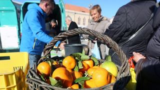 Mandarine na šibesnkoj