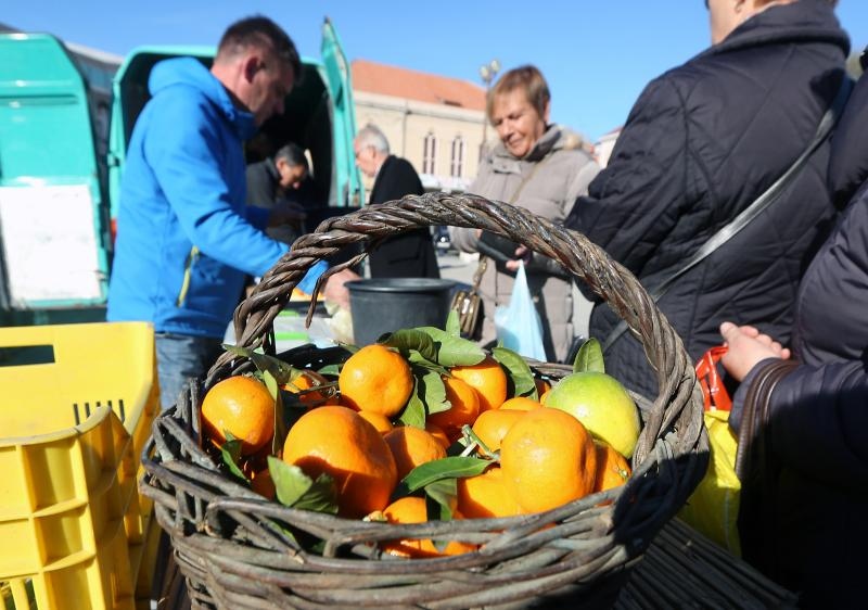 Mandarine na šibesnkoj