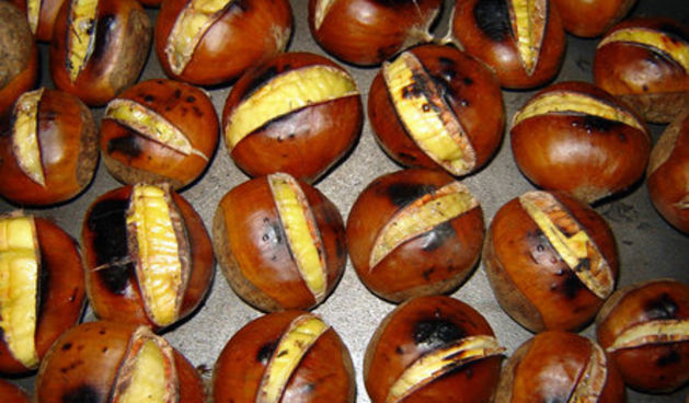 Kesteni (Foto: coolinarika.com)