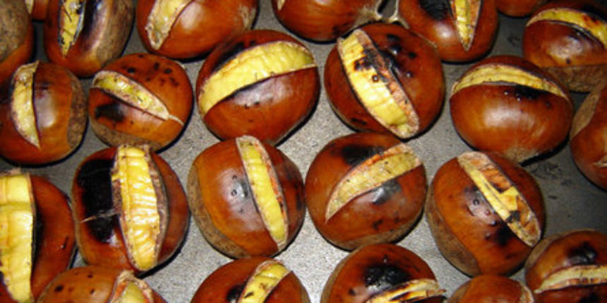 Kesteni (Foto: coolinarika.com)