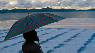 Pozdrav suncu prekriven ledenim pokrivacem 26. studenog 2010, Foto: Leo Banic