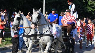 Doček Domagoja Vide
