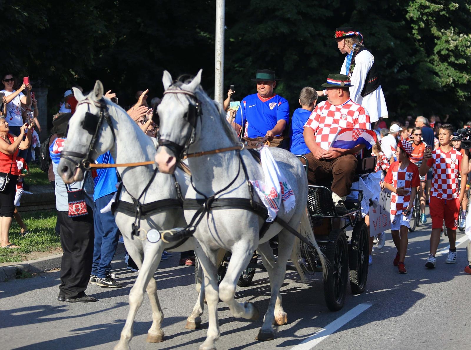 Doček Domagoja Vide