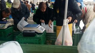 Velika subota na Seljačkoj tržnici u Zadru