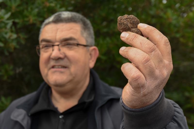 3. Tuna, Sushi & Wine Festival: traženje i priprema zadarskih tartufa 3. Tuna, Sushi & Wine Festival: traženje i priprema zadarskih tartufa