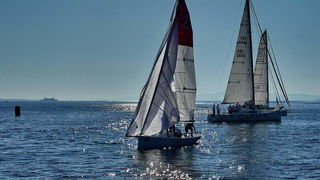 “Zadarska koka”: Regata za sve generacije snimljena iz “koke” “Zadarska koka”: Regata za sve generacije snimljena iz “koke”