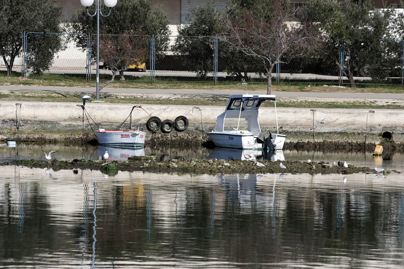 Oseka u Zadru more se povuklo nekih 50-ak cm