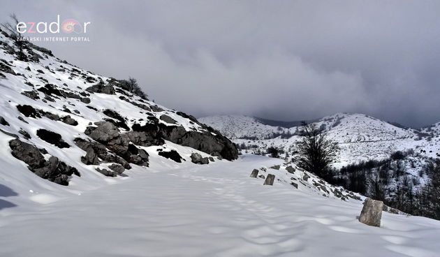 Tulove grede pod snježnim pokrivačem