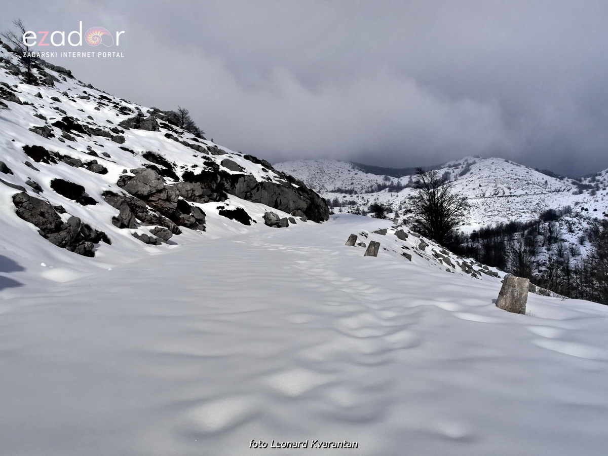 Tulove grede pod snježnim pokrivačem Tulove grede pod snježnim pokrivačem
