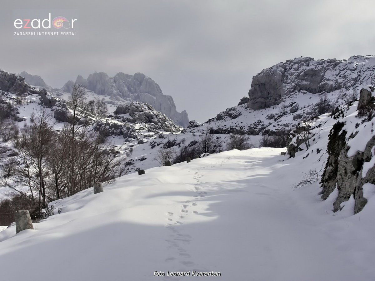 Tulove grede pod snježnim pokrivačem Tulove grede pod snježnim pokrivačem