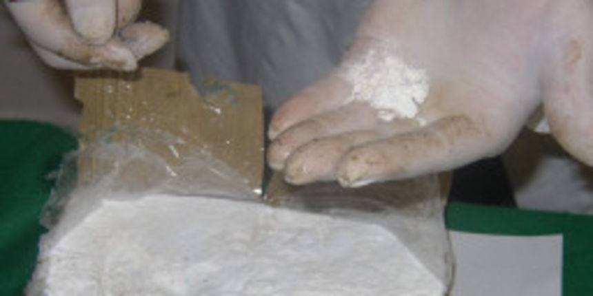 Kokain (Foto: ansa.it)
