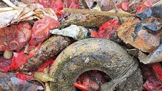 Eko akcija “Učinimo Privlaku privlačnijom”