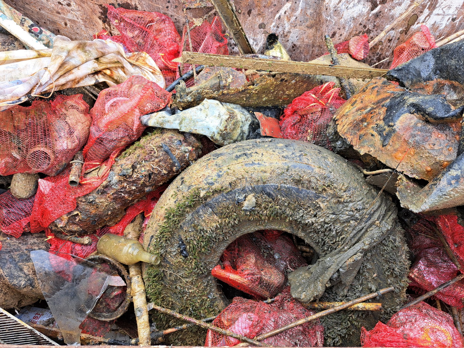 Eko akcija “Učinimo Privlaku privlačnijom”