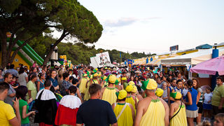 Ljetni karneval 2011. u Biogradu na Moru, Foto. Franjo Jurić