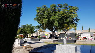 Blagdan Svih svetih na zadarskim grobljima