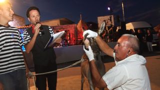 Trka Tovarov – 48. Memorijal Kenje Vijole Sukošan  Photo: Leo Banić