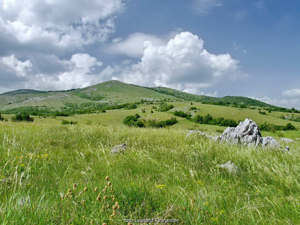Odmor za dušu u ljepoti prirode by L. Kvarantan