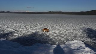 Šetnja po zaleđenom i bajkovitim Vranskim jezerom Šetnja po zaleđenom i bajkovitim Vranskim jezerom