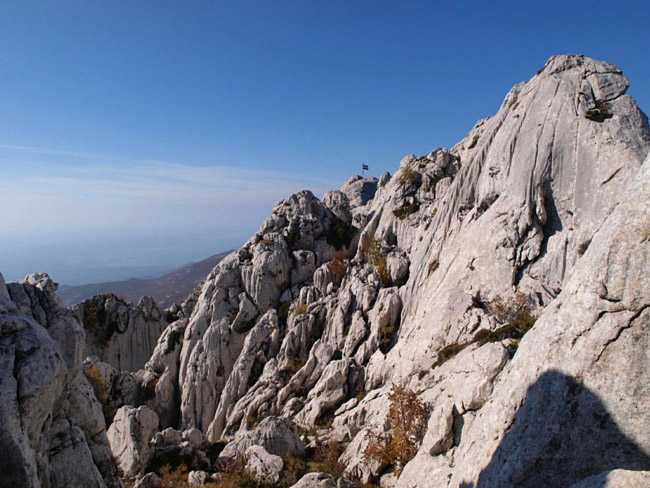 OLYMPUS DIGITAL CAMERA OLYMPUS DIGITAL CAMERA