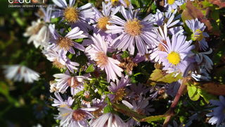 Gospić: Jesen u Lici 2018. Gospić: Jesen u Lici 2018.