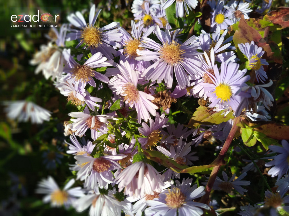 Gospić: Jesen u Lici 2018. Gospić: Jesen u Lici 2018.