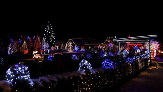 Cazma, 171210.
Grabovnica pokraj Cazme.
Imanje obitelji Salaj.
Predsjednica Vlade Jadranka Kosor svecano je upalili lampice na imanju obitelji Salaj u okviru Bozicne price u Cazmi.
Na imanju je ove godine upaljeno 1100000 lampica.
Prigodom otvorenja bio j