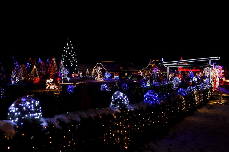 Cazma, 171210.
Grabovnica pokraj Cazme.
Imanje obitelji Salaj.
Predsjednica Vlade Jadranka Kosor svecano je upalili lampice na imanju obitelji Salaj u okviru Bozicne price u Cazmi.
Na imanju je ove godine upaljeno 1100000 lampica.
Prigodom otvorenja bio j