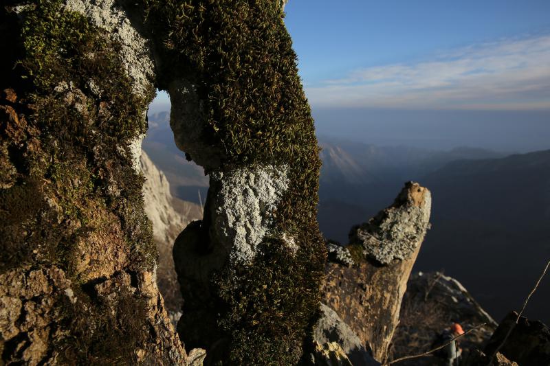 16.03.2014., Juzni Velebit – Topljenje snijega na Juznom Velebitu i procvjetani prvi planinski cvjetovi u ranom proljecu najavljuju skorasnje toplije vrijeme. Photo: Filip Brala/PIXSELL Autor Filip Brala/PIXSELL Ključne riječi rekreacija, planina, pro 16.03.2014., Juzni Velebit – Topljenje snijega na Juznom Velebitu i procvjetani prvi planinski cvjetovi u ranom proljecu najavljuju skorasnje toplije vrijeme. Photo: Filip Brala/PIXSELL Autor Filip Brala/PIXSELL Ključne riječi rekreacija, planina, pro