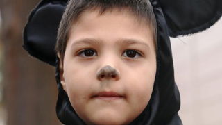 Virski karnevalić 2016. Virski karnevalić 2016.