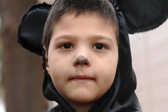 Virski karnevalić 2016. Virski karnevalić 2016.