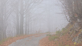 Lička jesen u znaku gljiva, Foto: Leo Banić
