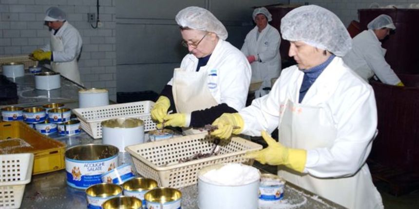 Image 1186559 (auto)